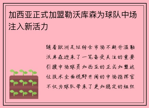 加西亚正式加盟勒沃库森为球队中场注入新活力